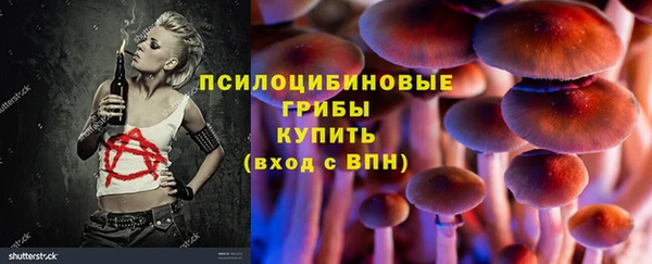 apvp Лиски
