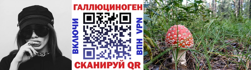купить наркотики цена  Эртиль  darknet официальный сайт  Псилоцибиновые грибы мицелий 